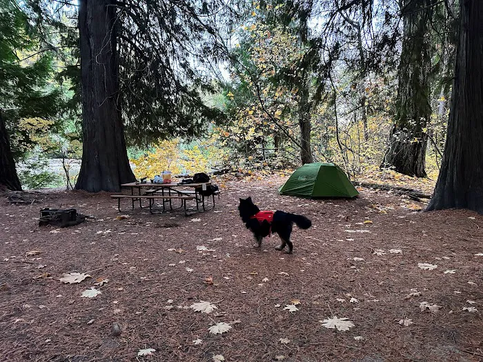 Harlequin Campground Picture 6