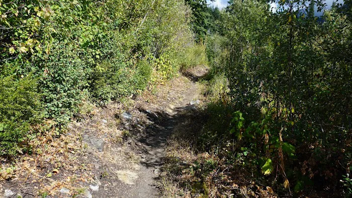 South Fork Campground Picture 3
