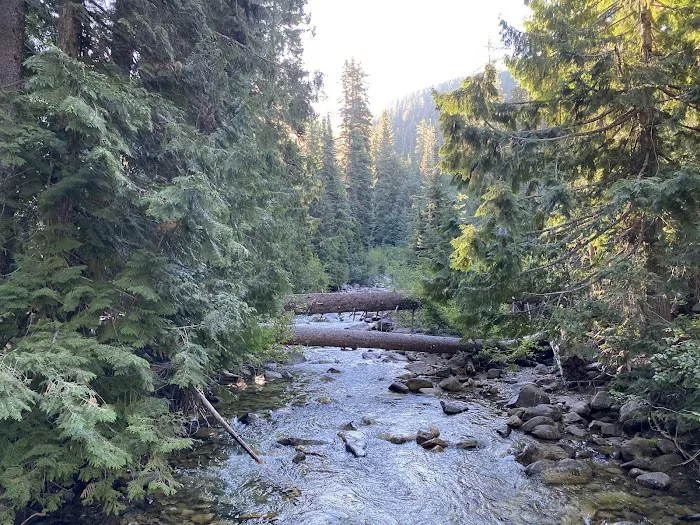 South Fork Campground Picture 1