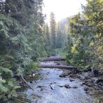 South Fork Campground