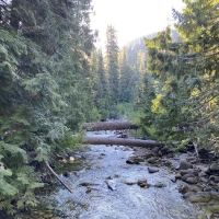 South Fork Campground ico