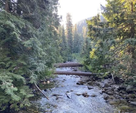 South Fork Campground