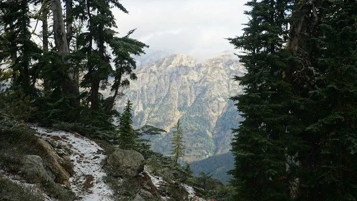 South Fork Campground Picture 6