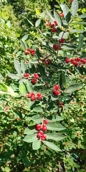 Equine Meadows Condominium Picture 4