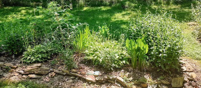 Equine Meadows Condominium Picture 3