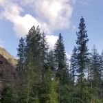 Manly Wham Campground