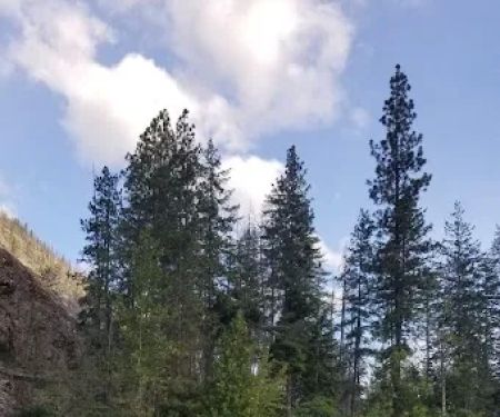 Manly Wham Campground