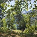 Moore Point Campground