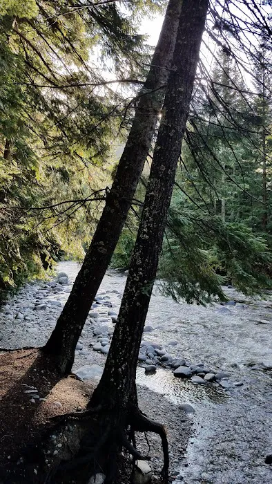Fox Creek Campground Picture 3