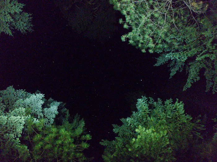 Fox Creek Campground Picture 7