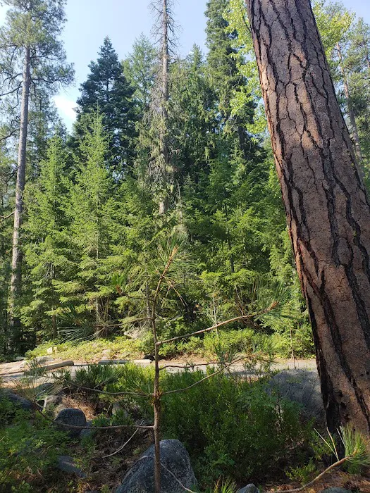 Fox Creek Campground Picture 5