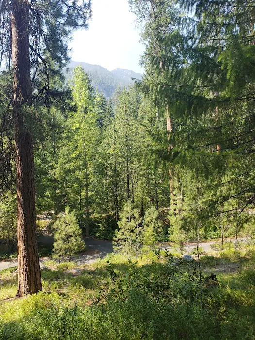 Fox Creek Campground Picture 9