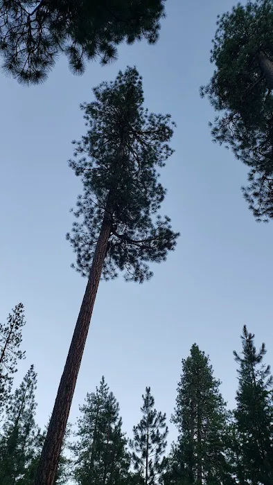 Lake Creek Campground Picture 3