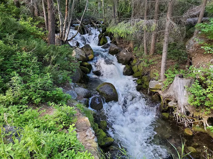 Lake Creek Campground Picture 4