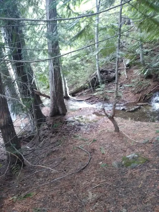 Lake Creek Campground Picture 9