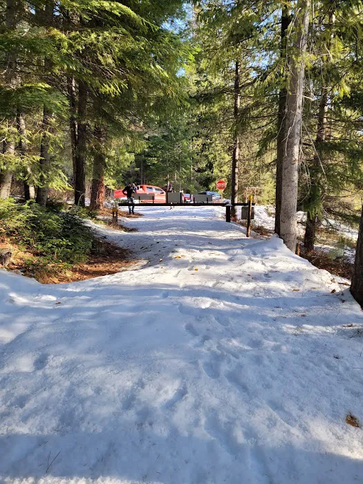 Lake Creek Campground Picture 10