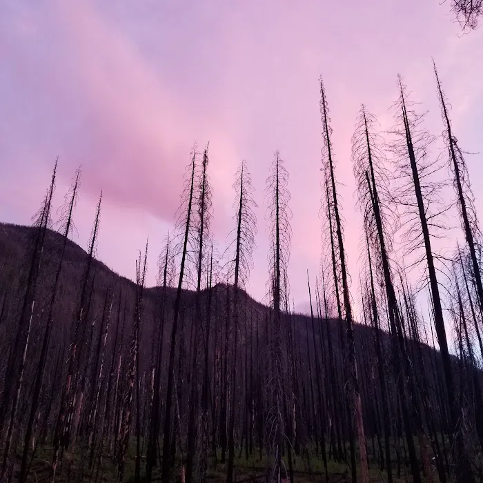 North Fork Campground Picture 3