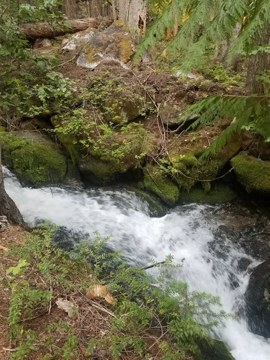 Silver Falls Campground Picture 2