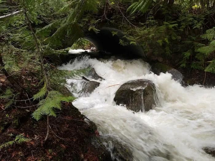 Silver Falls Campground Picture 6