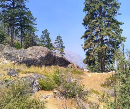 Graham Harbor Boat-In Campground