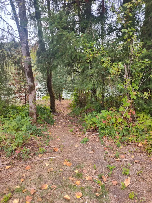 Rock Bottom Campsites Picture 10