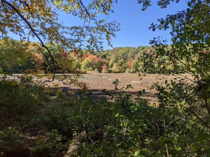 Oak Hill - MA Picture 2