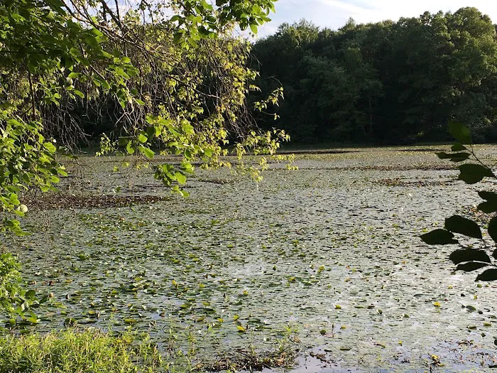 Oak Hill - MA Picture 4