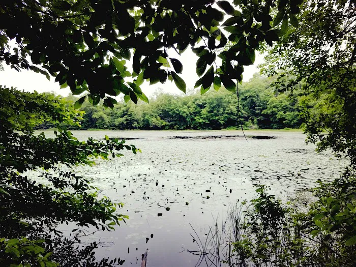 Oak Hill - MA Picture 10