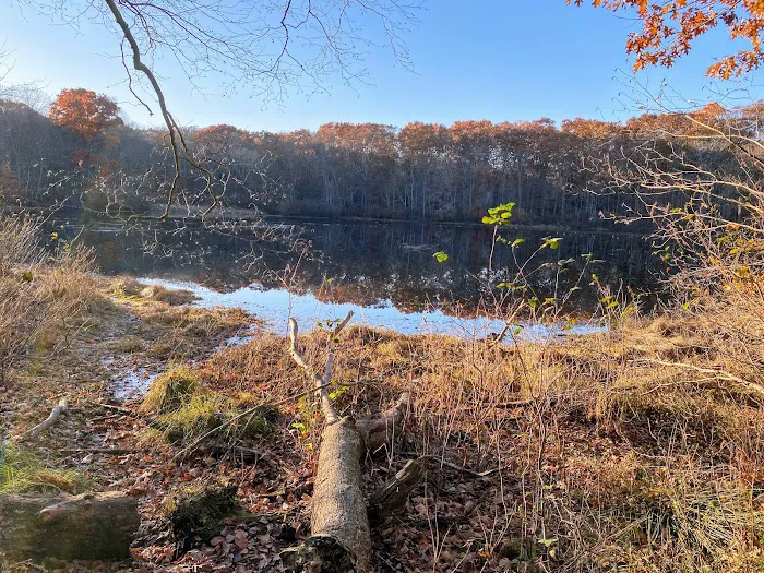 Oak Hill - MA Picture 7