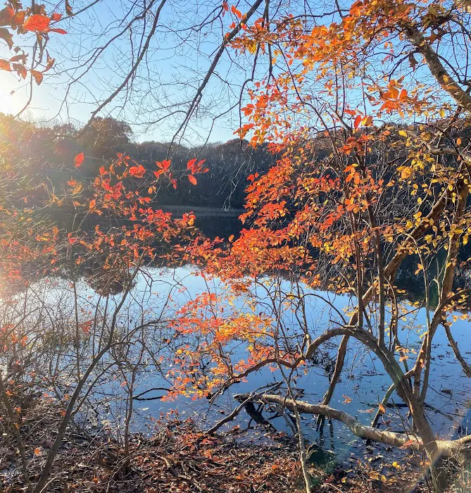 Oak Hill - MA Picture 9