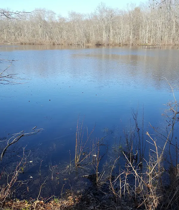 Oak Hill - MA Picture 6