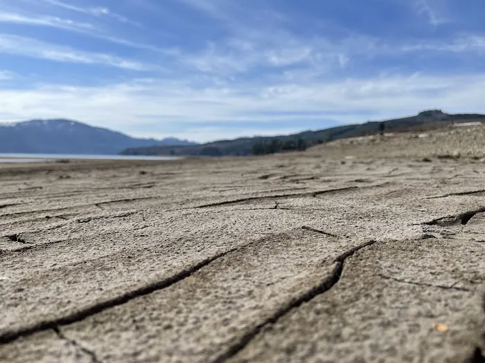 Riffe Lake Picture 10