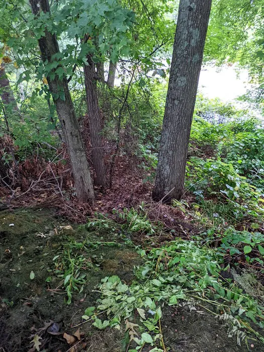 Killarney Estates Picture 7