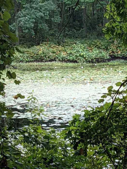 Killarney Estates Picture 2