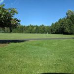 Cowlitz Falls Campground