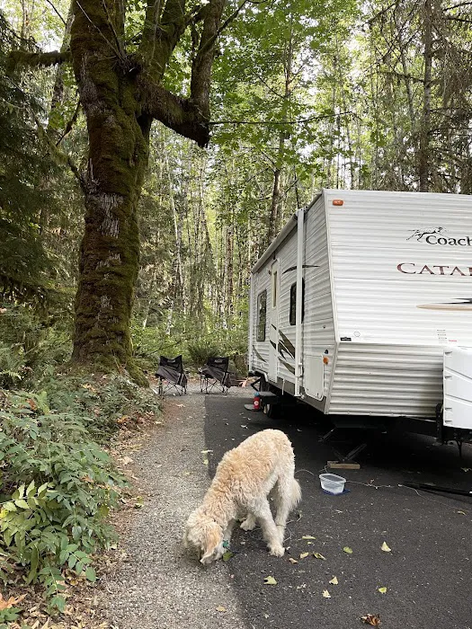 Cowlitz Falls Campground Picture 7