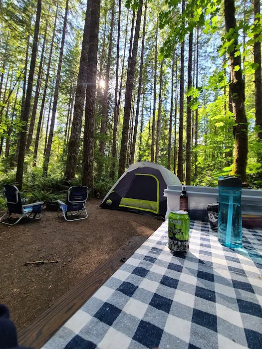 Cowlitz Falls Campground Picture 10