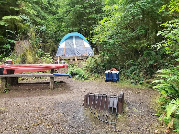 Willaby Campground Picture 10