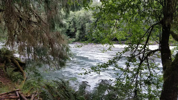 Queets Campground Picture 5