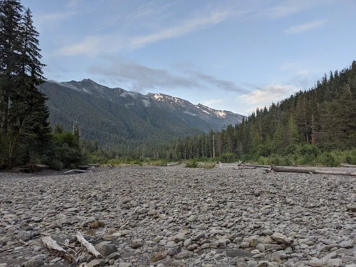 Lewis Meadow Campsite Picture 1