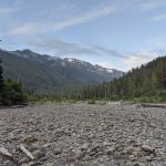 Lewis Meadow Campsite