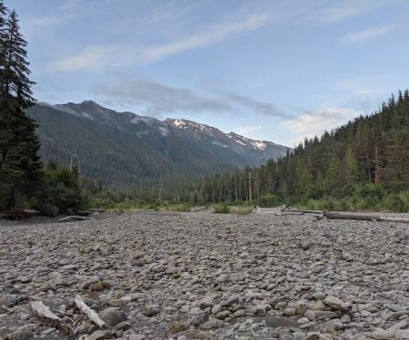 Lewis Meadow Campsite