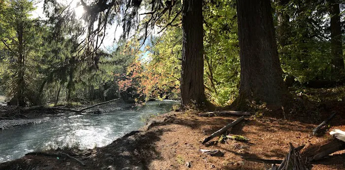 Lewis Meadow Campsite Picture 5