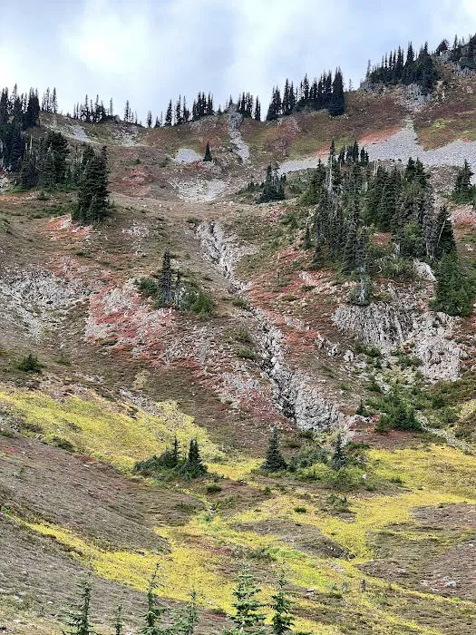 Heart Lake Picture 5