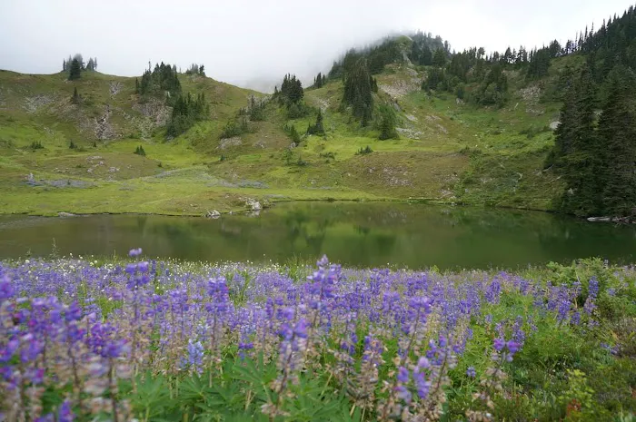 Heart Lake Picture 10