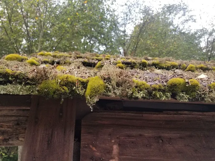 Sol Duc Park Picture 6