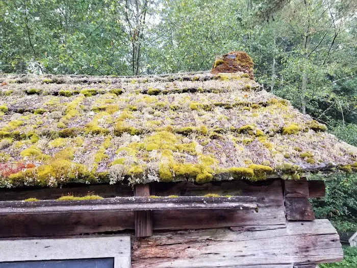 Sol Duc Park Picture 5