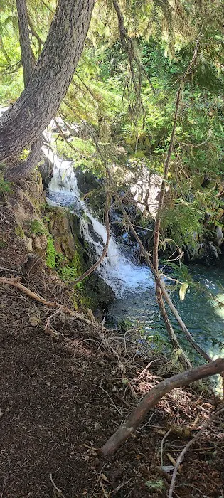Sol Duc Park Picture 7
