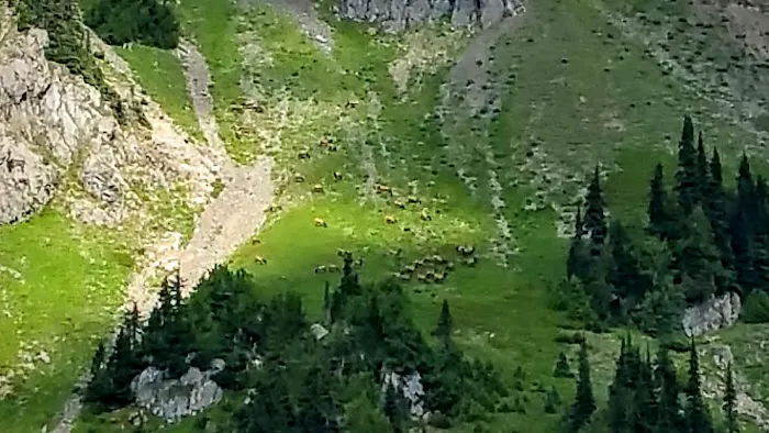 Sol Duc Park Picture 9