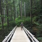 Upper Sol Duc Bridge